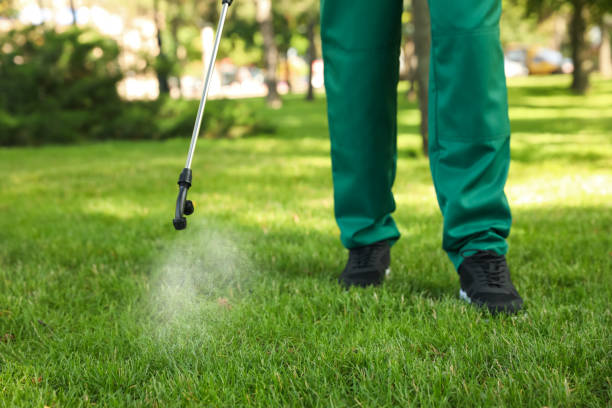 Best Local Pest Control Services  in Grandview, MO