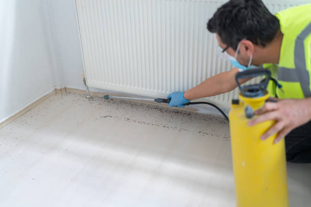 Best Ant Control Services  in Grandview, MO
